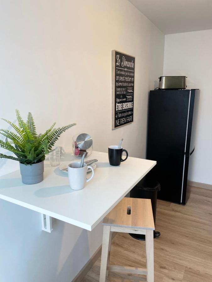 Appartement Du Grand Parc Châteauroux Exterior photo